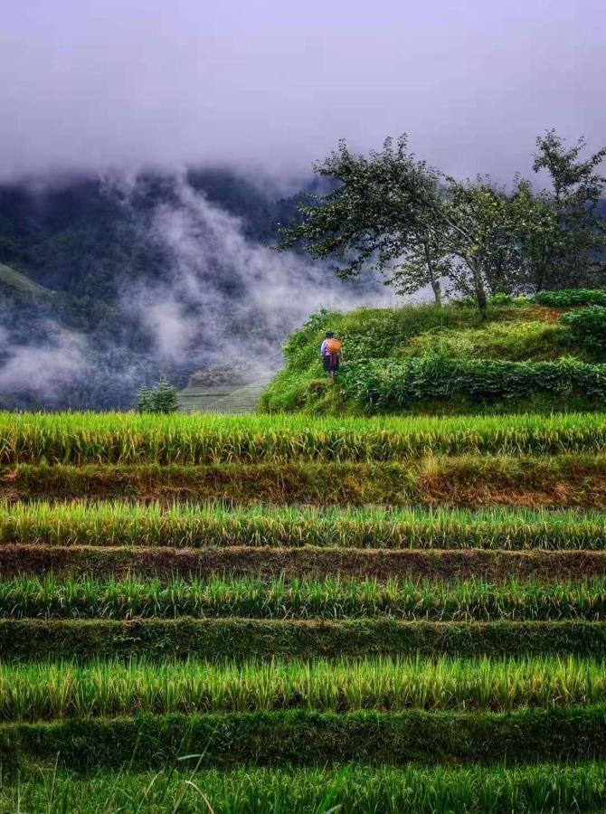 Longji Terrace La Vie Inn Longsheng Luaran gambar