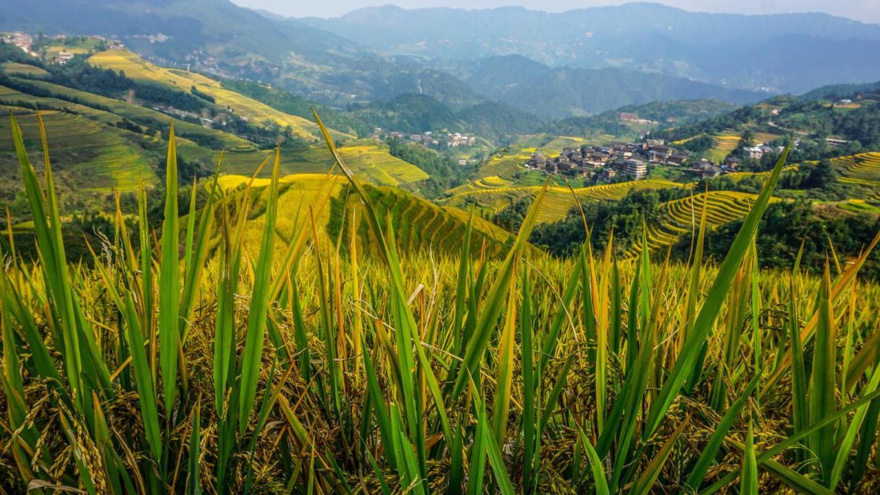 Longji Terrace La Vie Inn Longsheng Luaran gambar