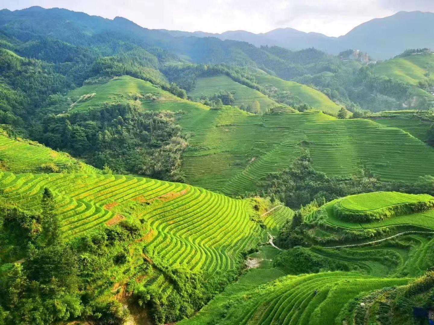 Longji Terrace La Vie Inn Longsheng Luaran gambar